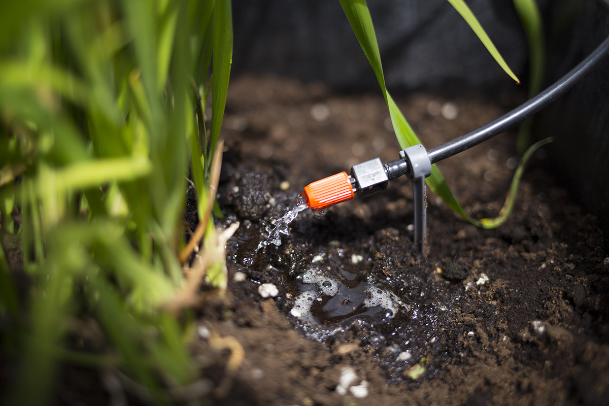 Quantité d'eau pour arroser mes plantes