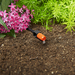 Gardena Adjustable Endline Drip Head (1x)