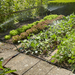 Gardena Starter Set Planted Areas